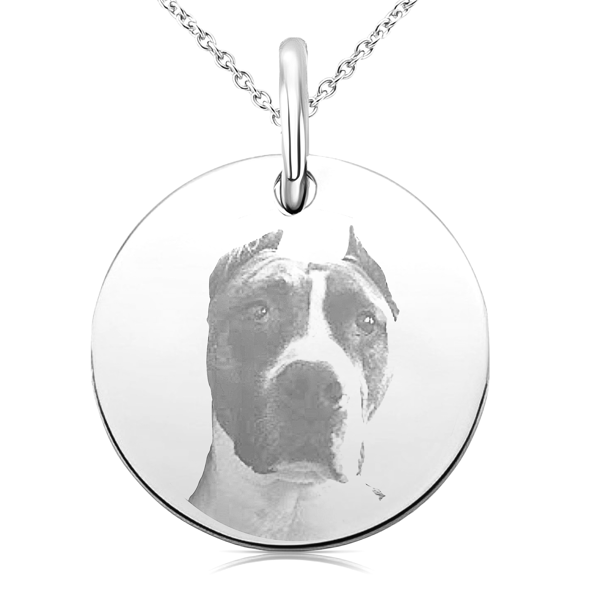 collar-fotografia-mascota-personalizada