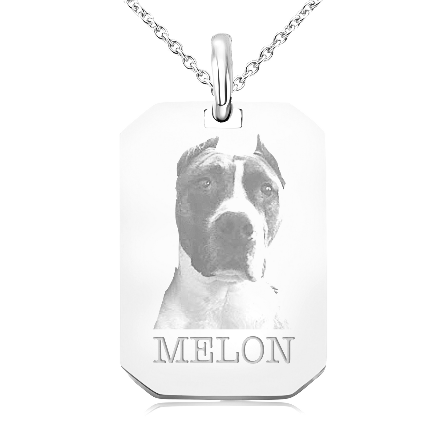 collar-fotografia-mascota-personalizado-acero