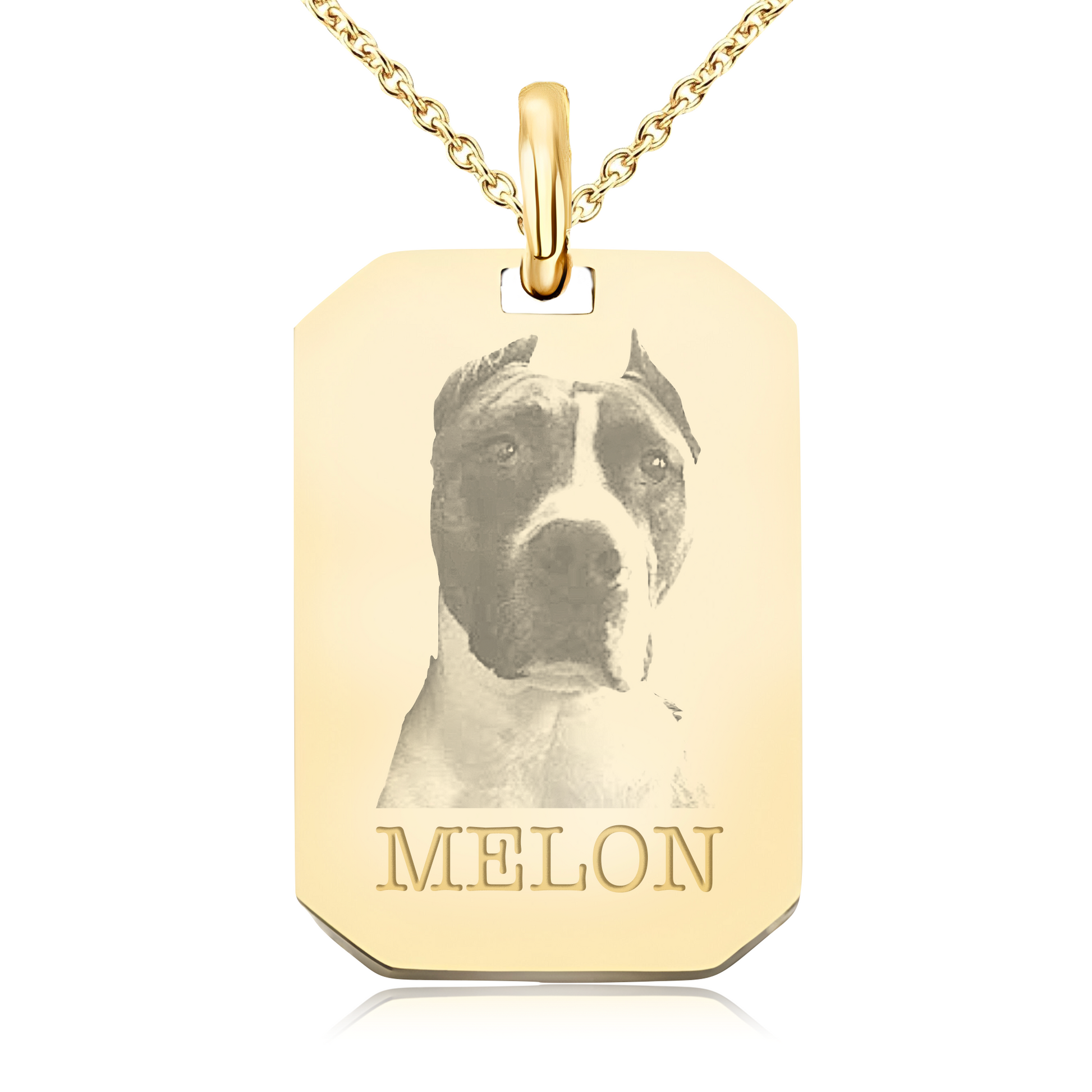 collar-fotografia-mascota-personalizado-rectangular-oro