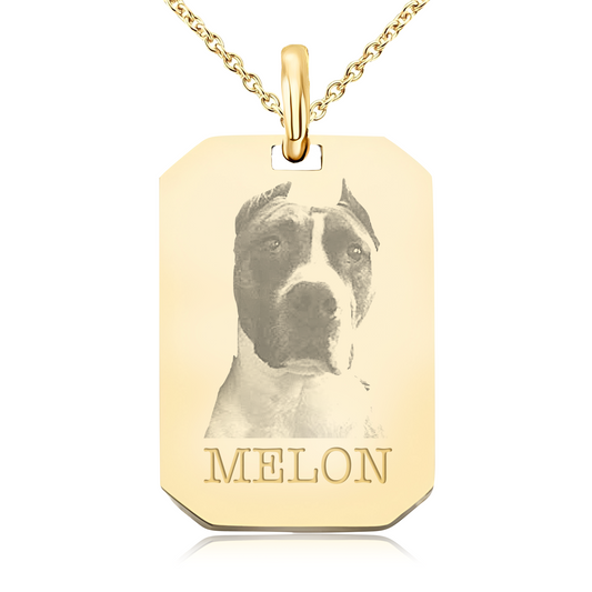 collar-fotografia-mascota-personalizado-rectangular-oro